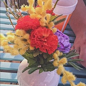 Meet your Posher, Lakota